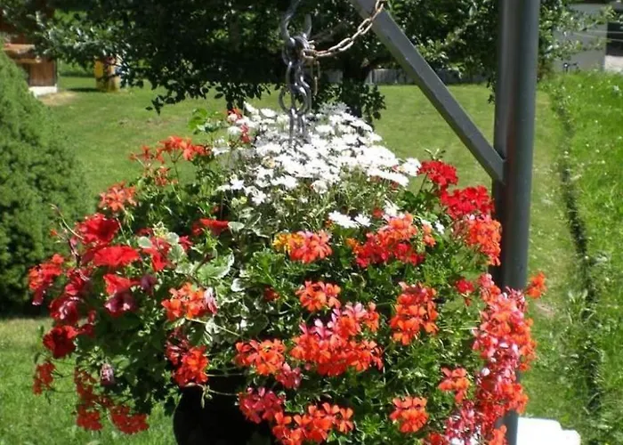 Saphir Eg Sued By Interhome Fieschertal